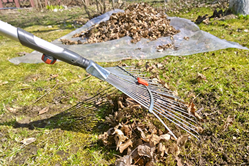Garden Clearance Shrewsbury